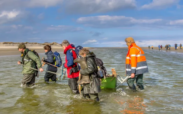 Alexandrine, from research to sharing science